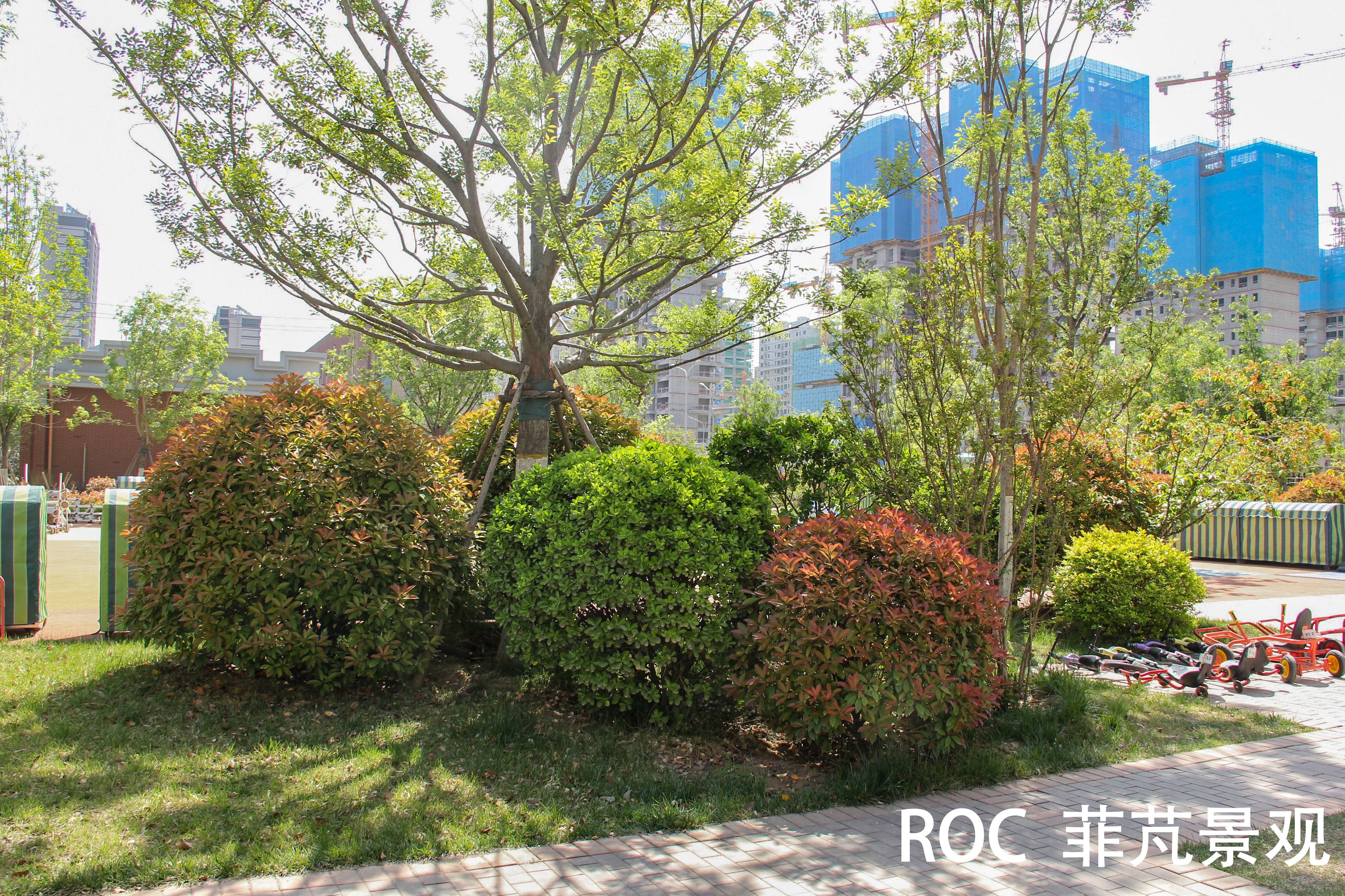 一幼银丰园鸟瞰图