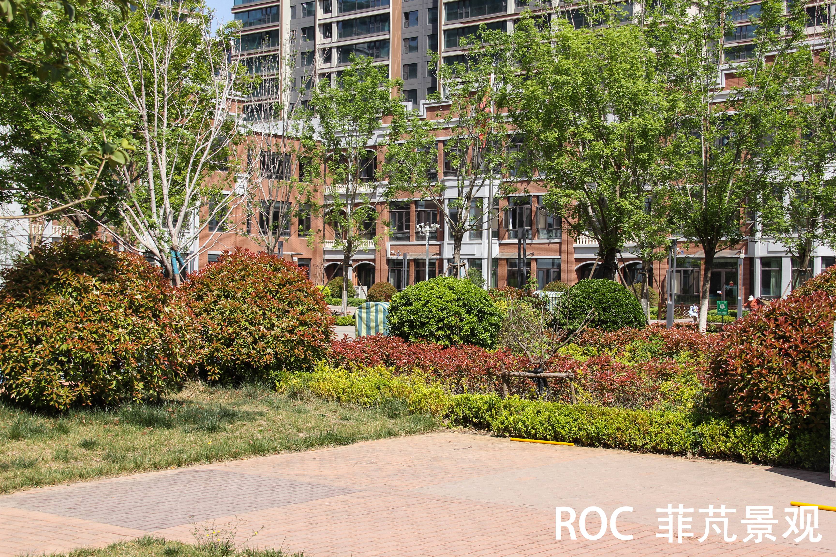 一幼银丰园鸟瞰图